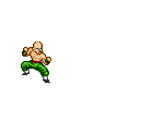 Tenshinhan, the strongest human in the world